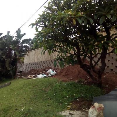 Cca Wood Fence
