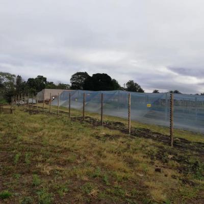 Free Standing Electric Fence