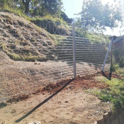 Welded Mesh And Concrete Posts