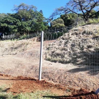 Weldmesh With Concrete Posts